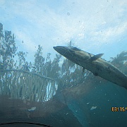 Picture 044